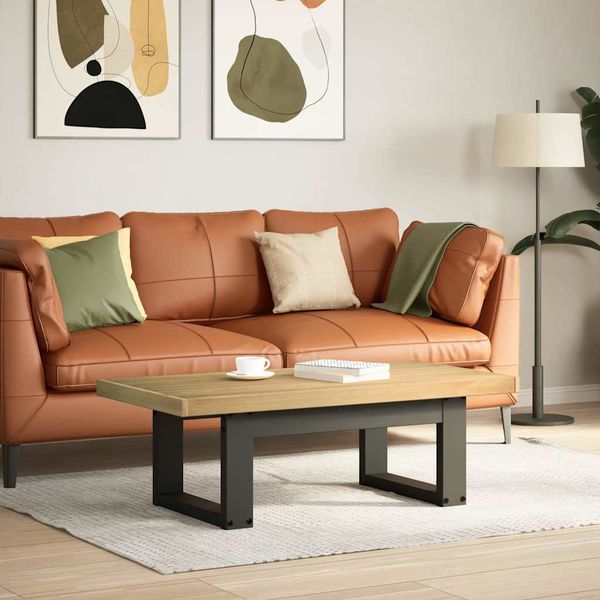vidaXL Konferenčný stolík NOAIN nohy v tvare U 120x60x40 cm borovicový