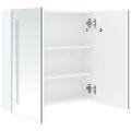 vidaXL Kúpeľňová skrinka s LED a zrkadlom 60x14x62 cm
