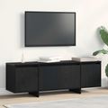 vidaXL TV skrinka 120 x 30 x 40,5 cm Čierny dub Kompozitné drevo