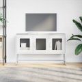 VidaXL TV skrinka Biela 100,5x39x60,5 cm Oceľ valcovaná za studena
