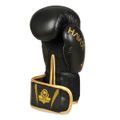Boxerské rukavice DBX BUSHIDO B-2v17 16 oz