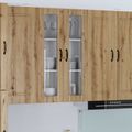 vidaXL Nástenný sklenený kabinet LUCCA Dub artisan 60 x 31 x 100 cm