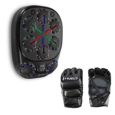Elektronický boxerský terč HMS TB10 s LED, Bluetooth a rukavicami (Music Boxing Machine)