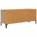 vidaXL TV skrinka 100 x 34,5 x 44,5 cm Remeselný dub
