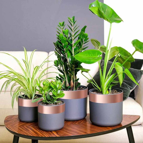 vidaXL Medená páska na ochranu proti slimákom Medená 70 mm x 20 m