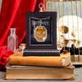 Náhrdelník Harry Potter - Medailón z jaskyne