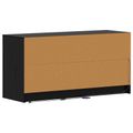 vidaXL TV skrinka 100 x 34 x 50 cm Čierny dub Kompozitné drevo