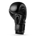 Boxerské rukavice DBX BUSHIDO Warrior BLACK 14 oz