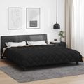 vidaXL Zimný prehoz 200 x 220 cm 450 gsm Mikrovlákno (100% polyester)