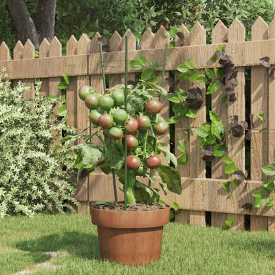 vidaXL Podpery pre záhradné rastliny s 3 krúžkami 5ks zelené 45cm oceľ