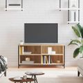 vidaXL TV skrinka dub sonoma 100x40x50 cm spracované drevo
