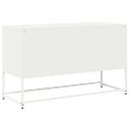 VidaXL TV skrinka Biela 100,5x39x60,5 cm Oceľ valcovaná za studena