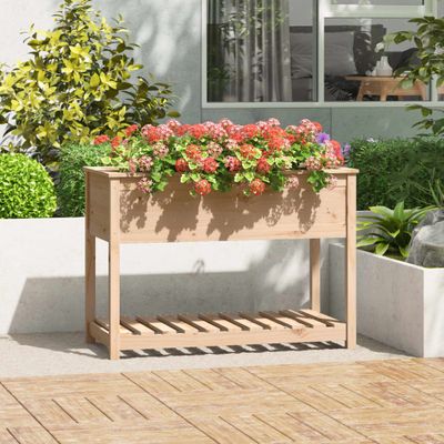 vidaXL Kvetináč s policou 111,5x54x81 cm masívna borovica