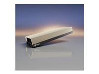 NVIDIA L40S - Grafický počítačový procesor - NVIDIA L40S - 48 GB - PCIe - pre P/N: UCSX-440P-D-U, UCSX-440P-NEW-D, UCSX-9508-D-U