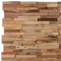 vidaXL Obkladové panely 10 ks 1,03 m², recyklované tíkové drevo