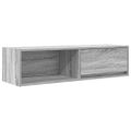 TV Skrinka vidaXL Sivá Sonoma 100x31x25,5 cm Engineered Wood