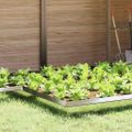 vidaXL Slimáková ohrada 4 ks 13,5 x 13,5 x 25 cm Pozinkovaná oceľ