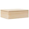 VidaXL Drevená krabička s vekom 40x30x13 cm masívna borovica
