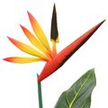vidaXL Umelá rastlina Strelitzia Zelená 65 x 13 x 55 cm