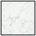 vidaXL Konferenčný stolík, čierny, biele mramorové sklo 80x80x35 cm