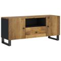 vidaXL TV skrinka 105x33,5x46 cm masívny mangovník a spracované drevo