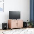 vidaXL TV skrinka ružová 68x39x43,5 cm oceľ