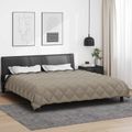 vidaXL Zimný prehoz 240 x 260 cm 450 gsm Mikrovlákno (100% polyester)