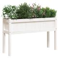 vidaXL Záhradný kvetináč s nohami biely 110x31x70 cm masívna borovica