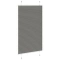 vidaXL plisovaná roleta antracit 75x150 cm Šírka látky 74,4 cm