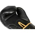 Boxerské rukavice DBX BUSHIDO B-2v17 16 oz
