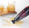 Ariete Wet&Dry Cordless 2474/00