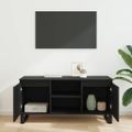 vidaXL TV skrinka 104 x 35 x 50 cm Čierny dub Kompozitné drevo