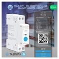 NOUS D2T, Tasmota DIN SMART Switch, prepínač