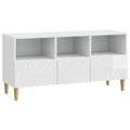 vidaXL TV skrinka 102 x 34,5 x 50 cm Biela s vysokým leskom