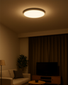 LED stropní 3CCT svítidlo TR-78S - 32W 3400lm ø40x2,5cm Trixline