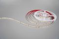Modee LED pás DC24V 9,6W/m 128LED/m 8mm IP20 2700K (1150 lm/m) B5 (ML-LS24V48W128L/M2700KB5)