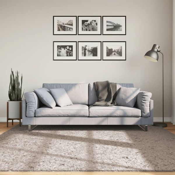 vidaXL Shaggy koberec PAMPLONA, vysoký vlas, moderný, béžový 200x200cm