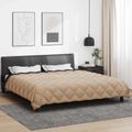 vidaXL Zimný prehoz 200 x 220 cm 450 gsm Mikrovlákno (100% polyester)