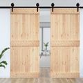 vidaXL Dvere NARVIK 100 x 210 cm Masívne borovicové drevo (neupravené)