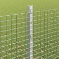 vidaXL Zvarené pletivo s podperami 10 x 1,2 m Pozinkovaná oceľ