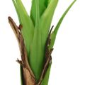 vidaXL Umelý banánovník s kvetináčom 140 cm zelený