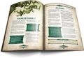 Dragonbane Rulebook