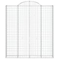 vidaXL Oblúkový gabionový kôš 2 ks 200x30x220/240cm pozinkované železo