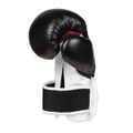 Boxerské rukavice DBX BUSHIDO B-3W 14 oz