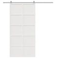 vidaXL Dvere do stodoly biele 100x208 cm masívna borovica