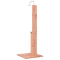vidaXL Externá sprcha 206 cm Prírodná