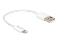 Kabel Lightning - USB s piny (male) do Lightning s piny (male) - 15 cm - bílá