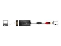 Thunderbolt adaptér - USB-C (samec) do DisplayPort (samica) - 20 cm - čierna