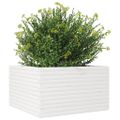 vidaXL Záhradný kvetináč biely 80x80x45,5 cm masívna borovica