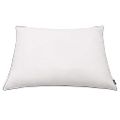 vidaXL Vankúše 2 ks výplň z páperia/peria ľahké 70x60 cm biele